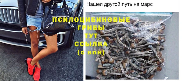 сатива Одинцово