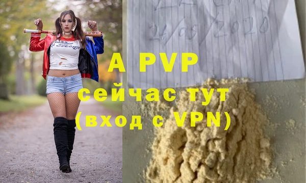 spice Корсаков