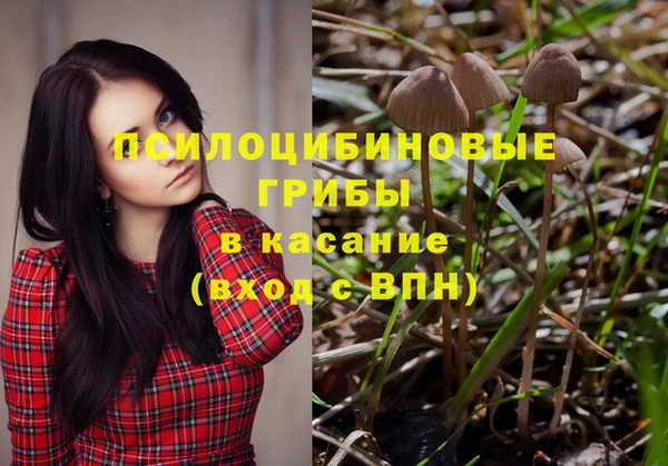 молекула духа Коряжма