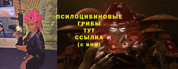 молекула духа Коряжма