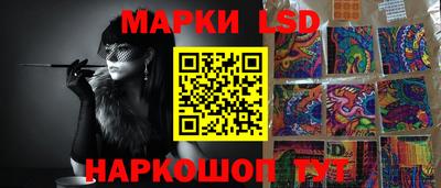 трава Гатчина