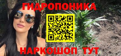 трава Гатчина