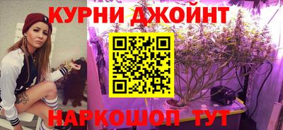 трава Гатчина