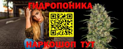 трава Гатчина