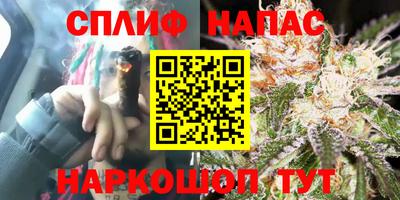 ECSTASY Гагарин