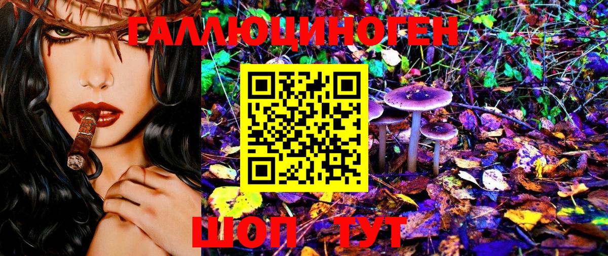Псилоцибиновые грибы MAGIC MUSHROOMS Павловский Посад