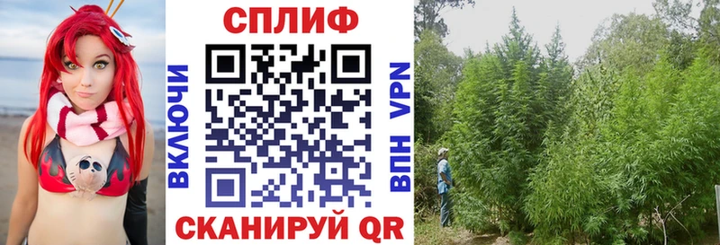 Каннабис SATIVA & INDICA  сколько стоит  дарк нет как зайти  Павловский Посад 